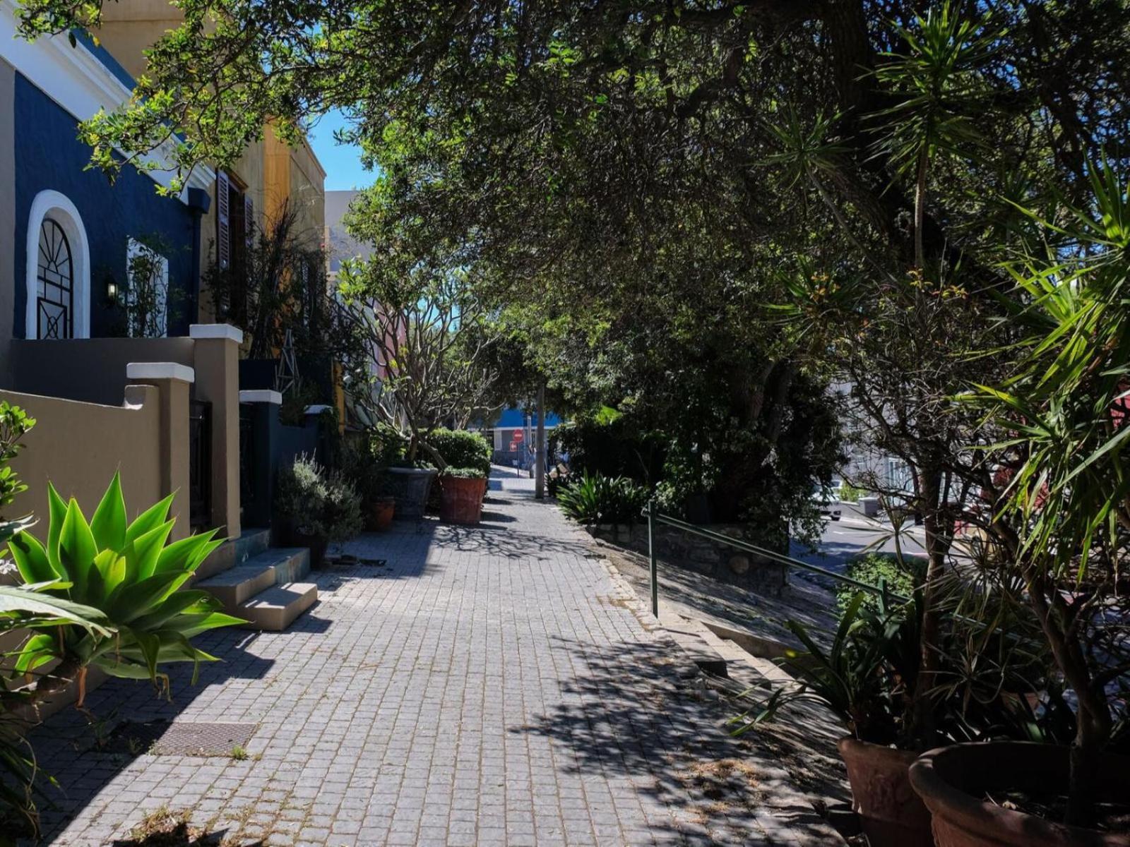 Purple House Accommodations Cape Town Exterior foto